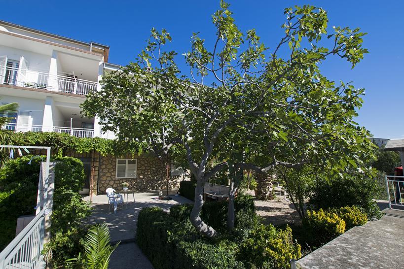 Apartment Duda Starigrad Paklenica Chambre photo